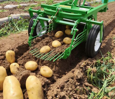 Bom preço. Colheitadeira de Batata Doce Pequena Montada em Tomada de Força de Trator Agrícola em linha